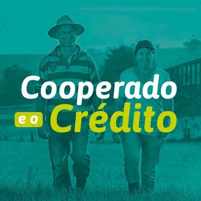 Cooperado e o Crédito